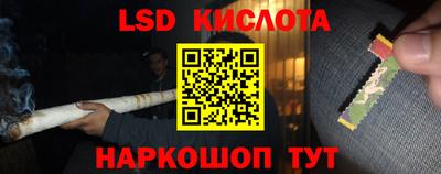индика Кунгур