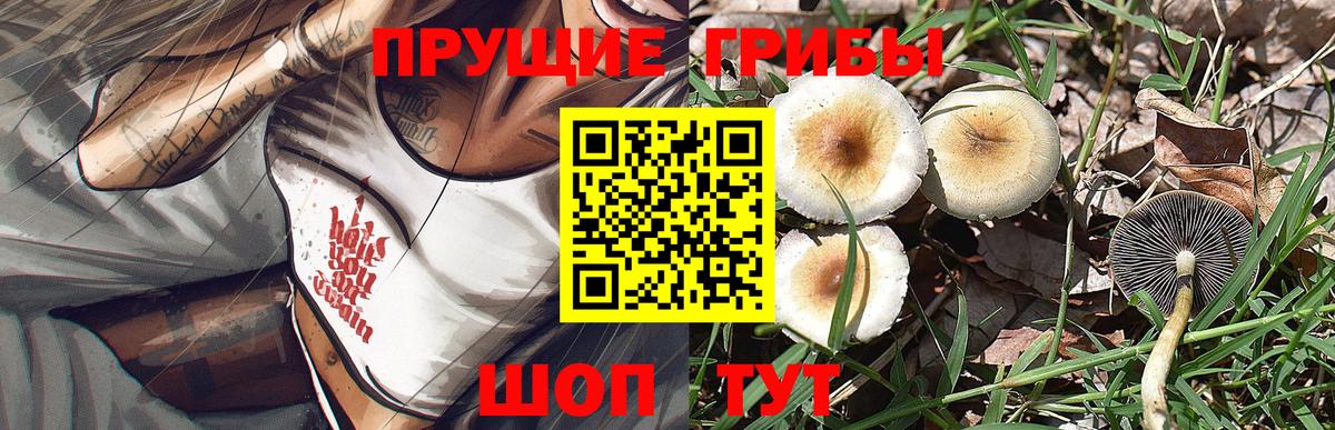 Псилоцибиновые грибы мухоморы Кировск