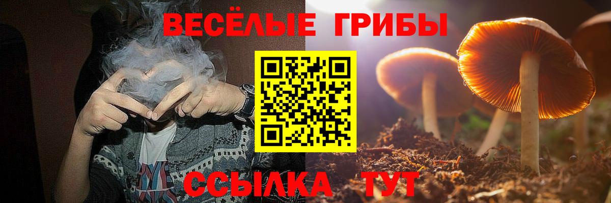 Галлюциногенные грибы Psilocybe  Псилоцибиновые грибы мухоморы  Кировск  Вход с VPN 